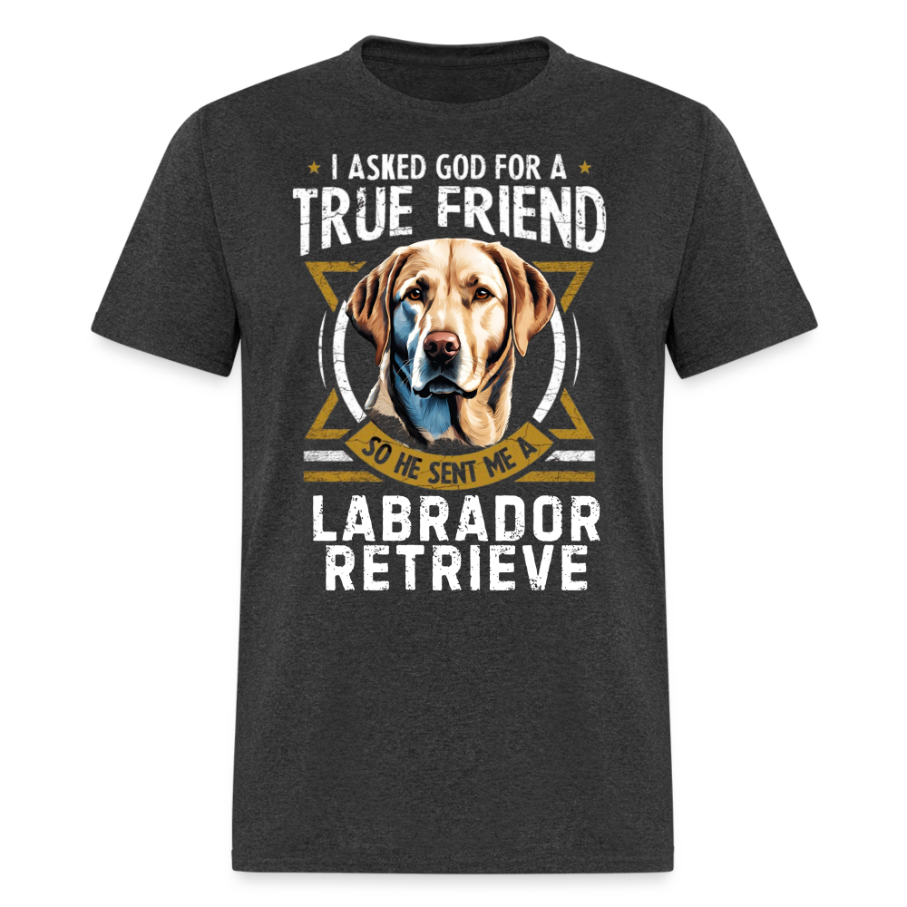 TRUE FRIEND LABRADOR RETRIEVER - heather black